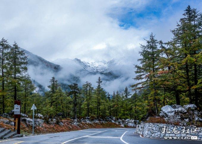 僵尸敲方块
