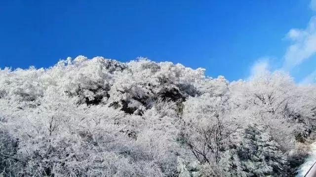 仁和区开展2024年森林草原火灾扑救综合应急演练