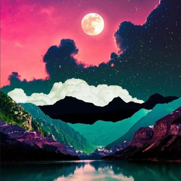 创作猫