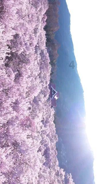 清宫Q传