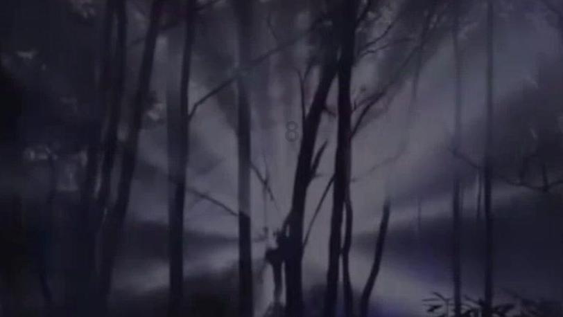 汽车弯道漂移