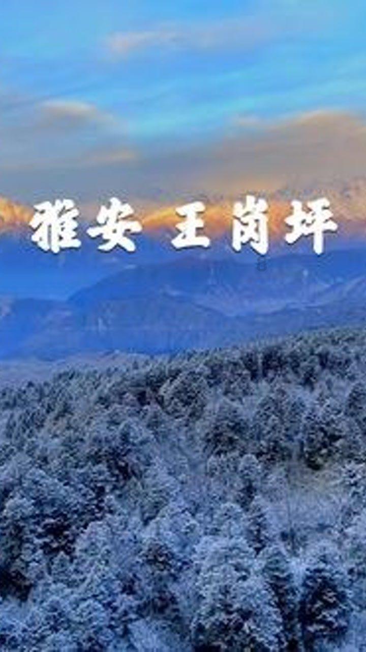 贝索斯未婚妻又去走红毯!抹胸黑裙尽显绝美身材