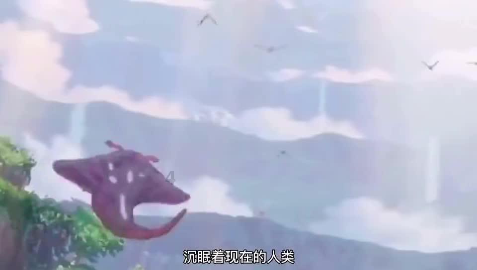 88影视