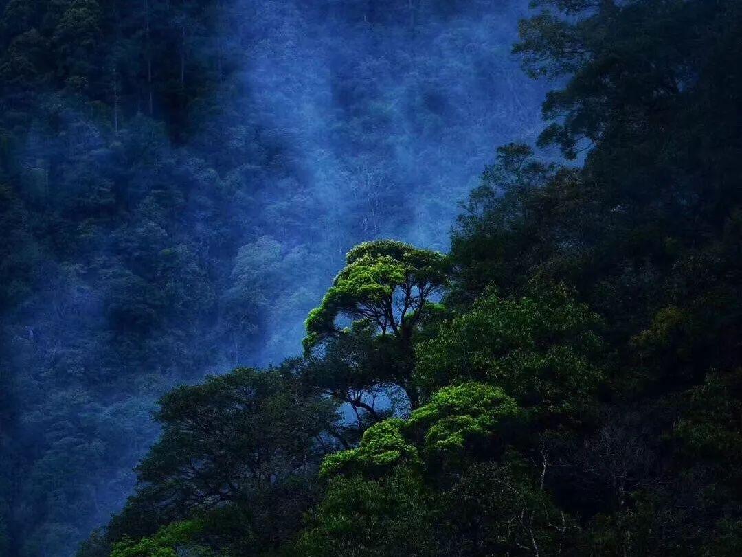 次元喵