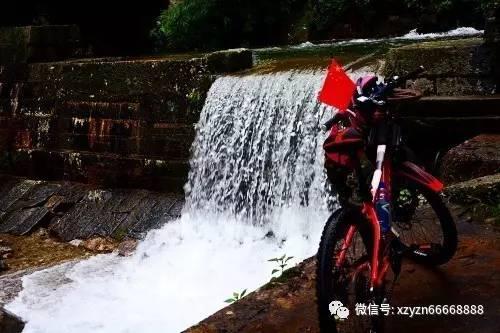 丛林森林逃生