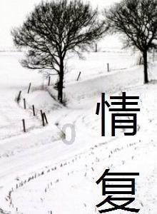 九张羊皮纸
