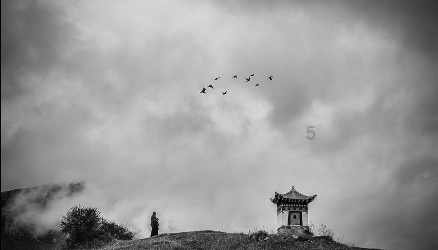 校园女生找不同3