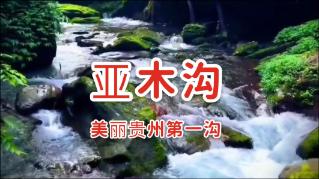 接住泼天富贵的陈楚生、张远、陆虎感慨工作节奏快，身体扛不住了
