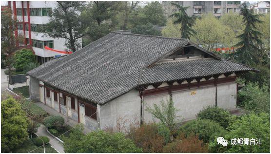 大金狮逃生