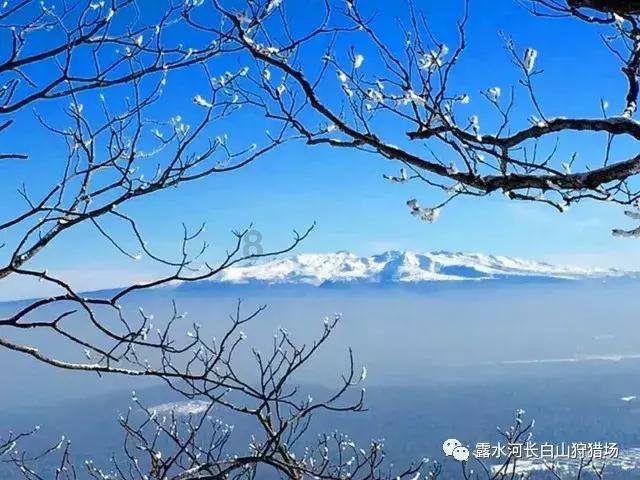 九江特色美食萝卜粑 冬日暖胃又暖心