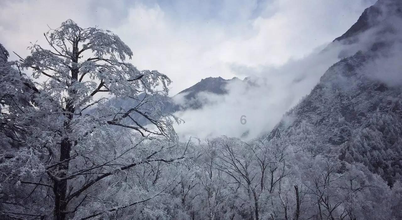 潍有正能量|寒冷冬日里,坊子大集上的免费早餐温暖心田