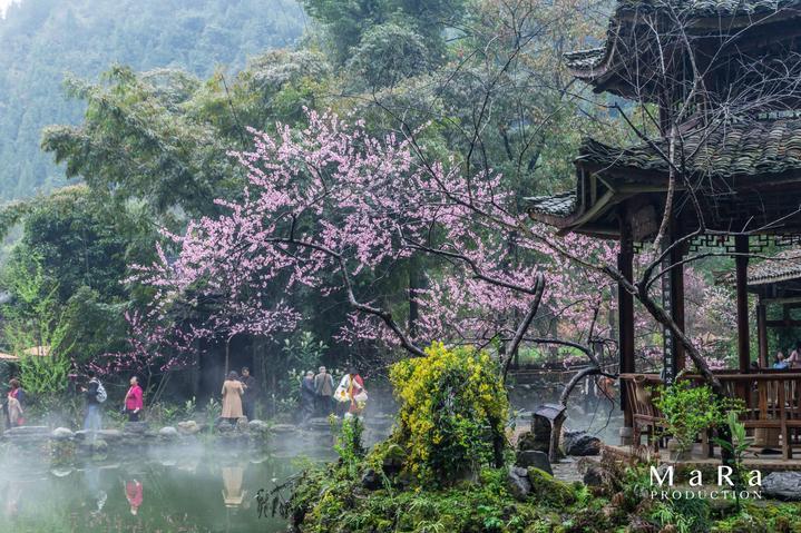 相扑选手大跳跃