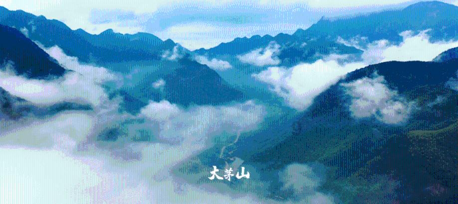 一路顺风