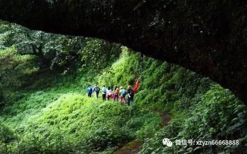 神奇小子龙之陷阱