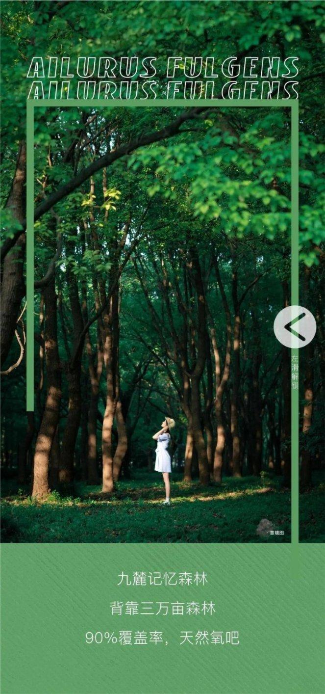 远嫁女子的坚守与希望：回家过年的背后