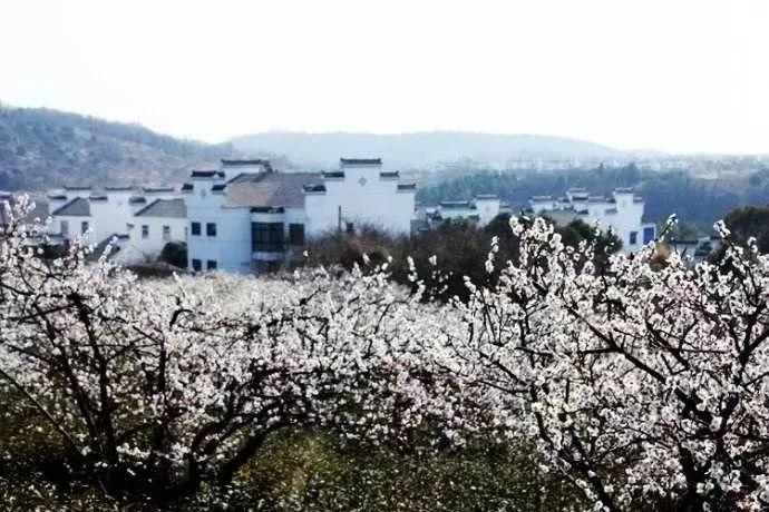救援绿鳄人