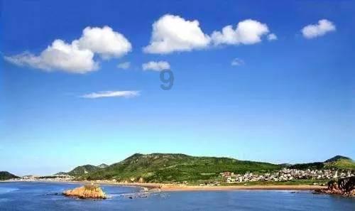 解救金刚鹦鹉