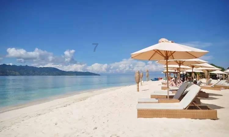 足球报：浙江队买莱昂纳多资金有困难 崔康熙更想引进强力后腰