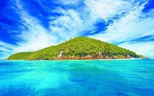 收盘丨创业板指涨1.24% 券商股涨幅居前