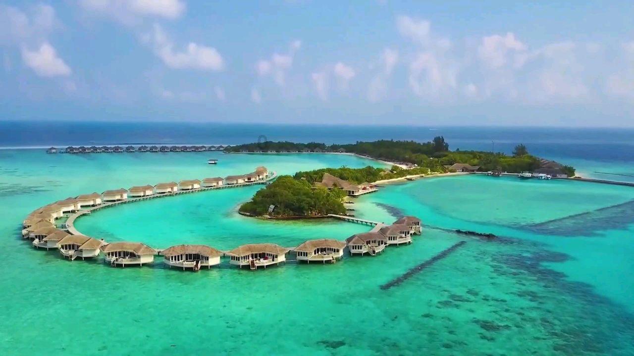 虫虫助手下载