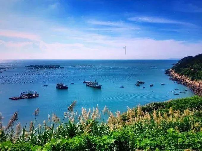 阴暗森林