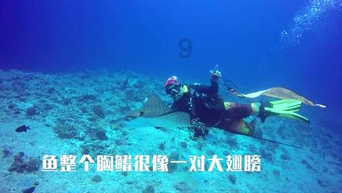 瑞风新能源盘中异动 临近午盘大幅上涨5.86%