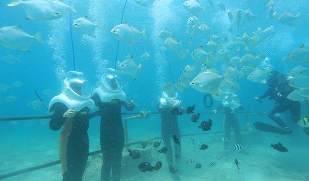 小猫钓鱼开船版最新版下载