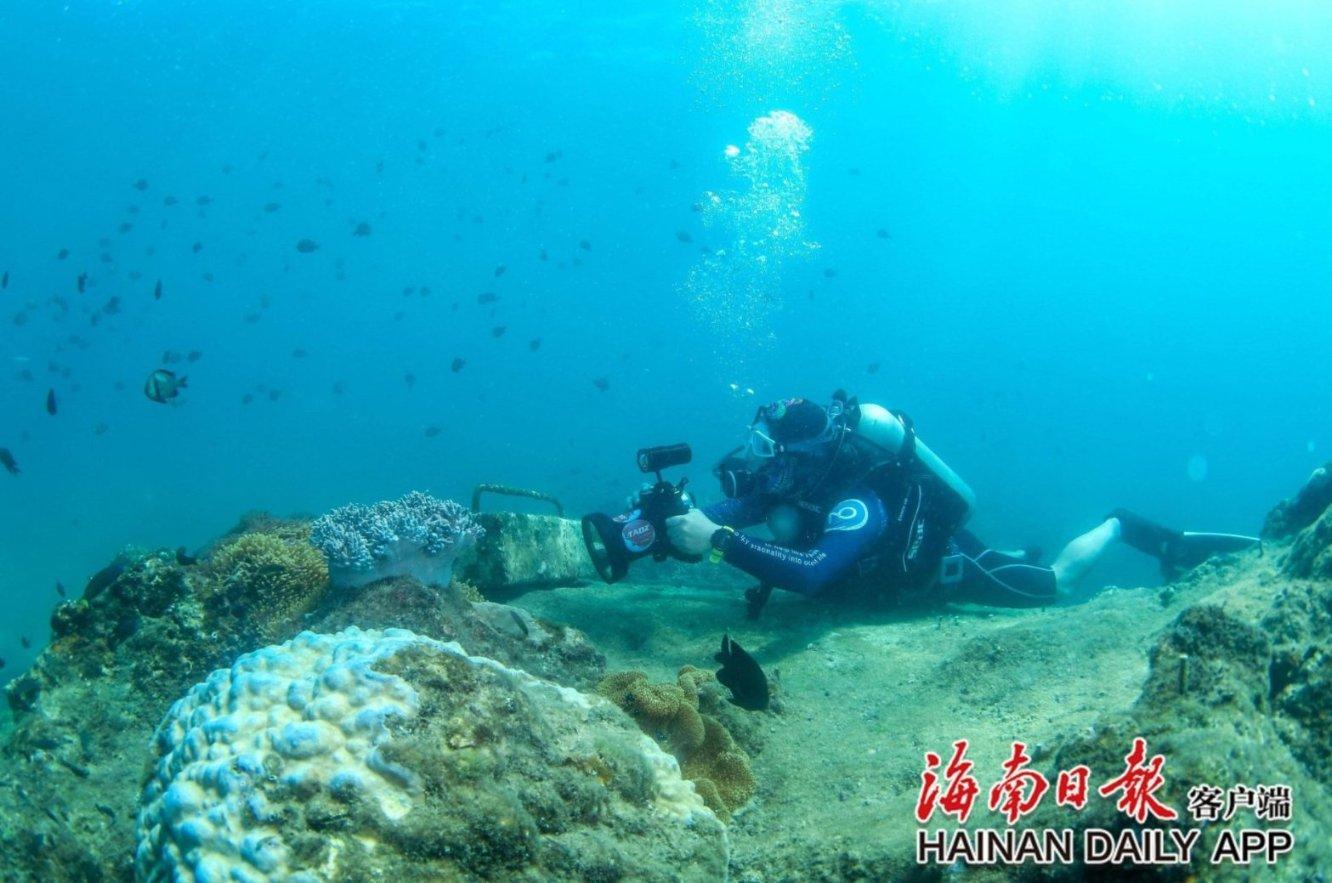 燃烧吧大脑装瓶子游戏