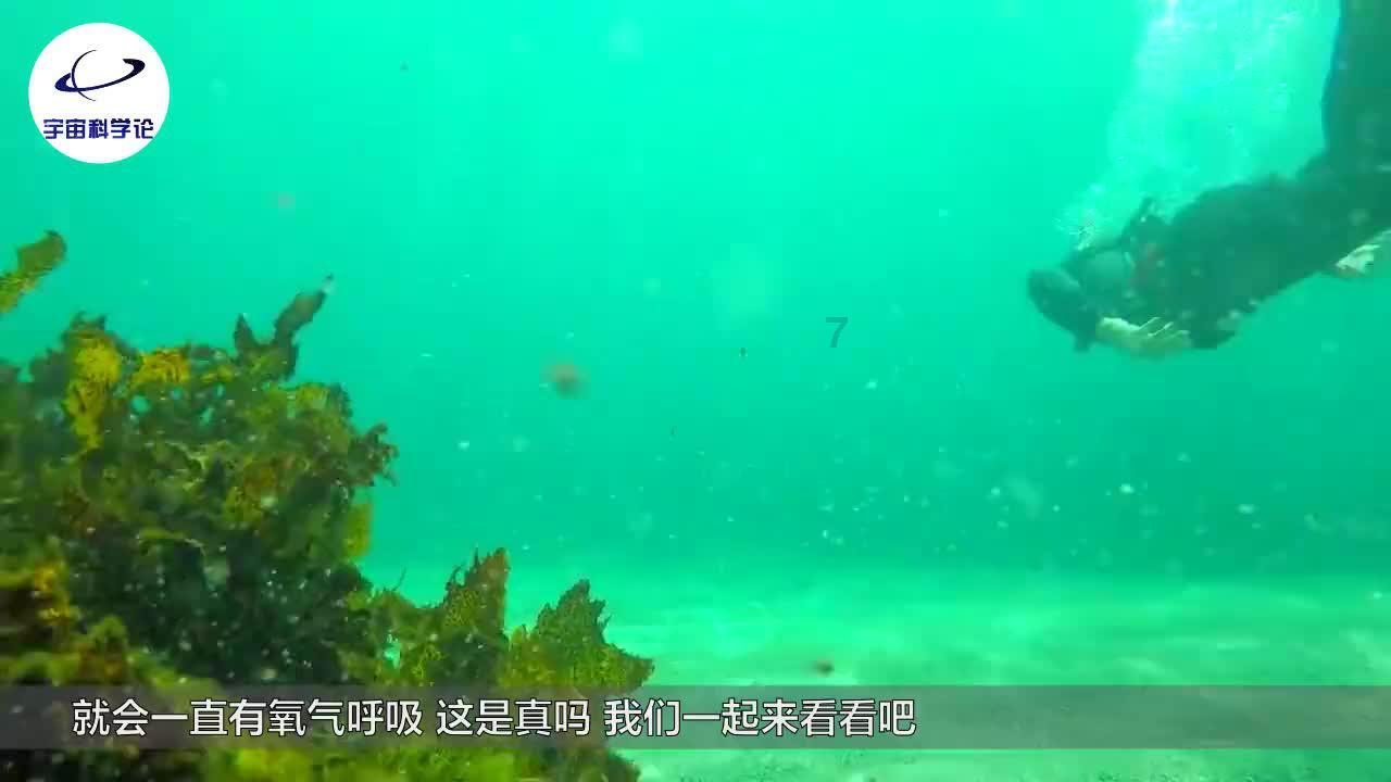 沪江开心词场