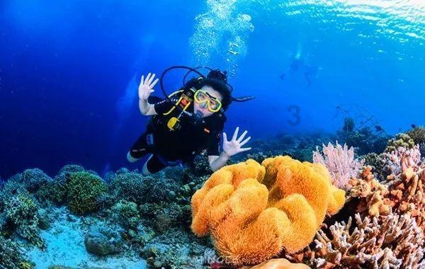 遭重点监控仍被爆炒，深中华A10连板、*ST左江一周涨超68%，这些异动股发生了什么？