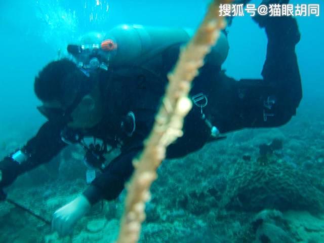 “科技＋文化”打造长征国家文化公园