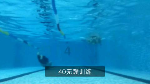 小猫钓鱼正版下载中文版