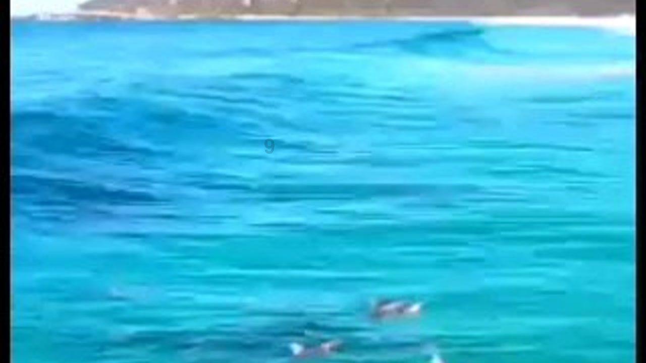 被单位辞退怎么办？