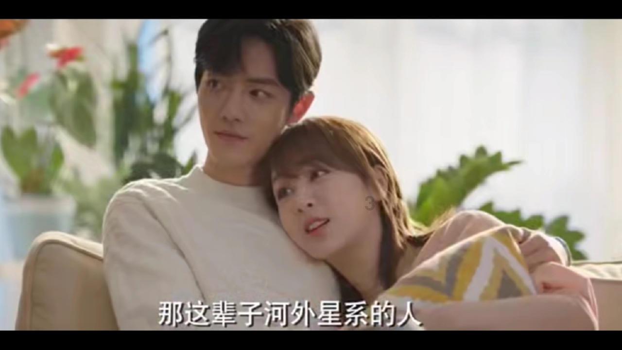 小狗救援行动选关版