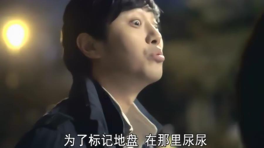 小猫钓鱼游戏龙王版有船