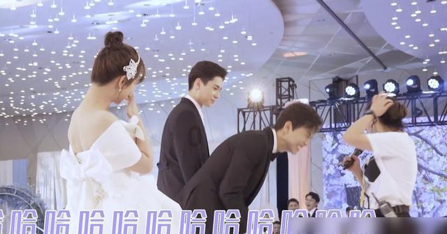 小猫钓鱼正版下载中文版