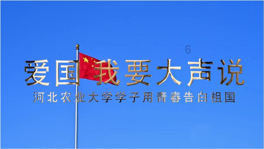 创作猫