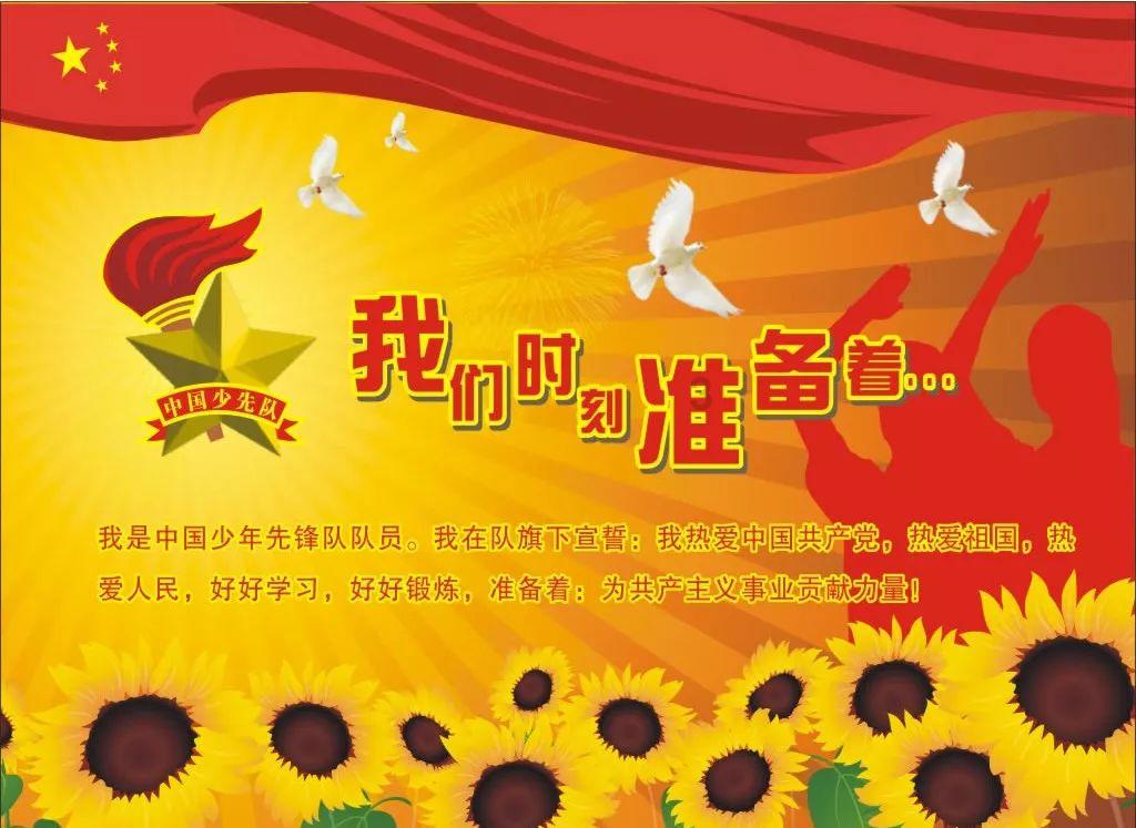 五彩鹦鹉救援