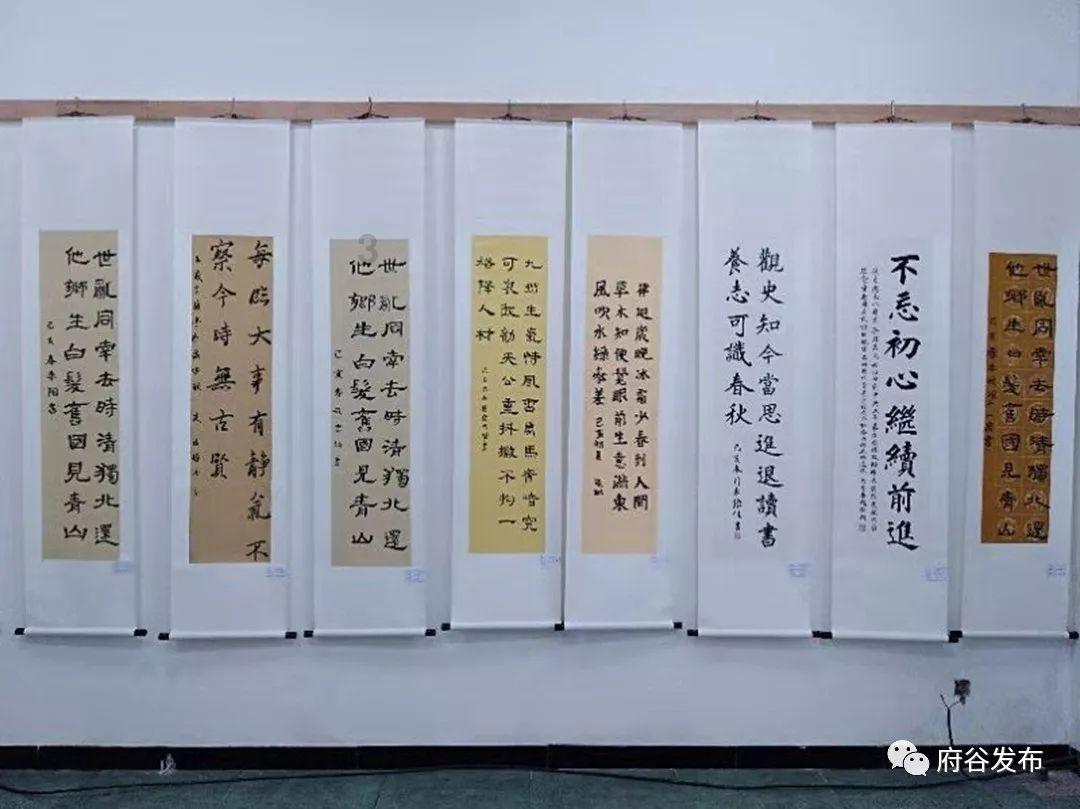 春雨直播app
