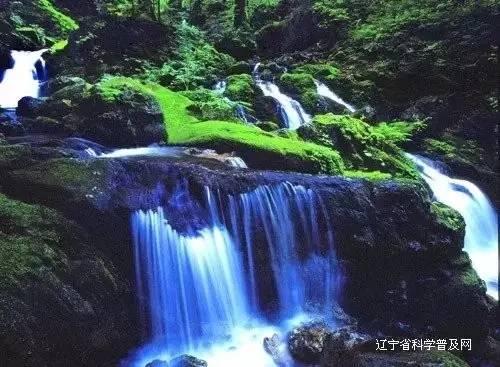 虫虫助手下载