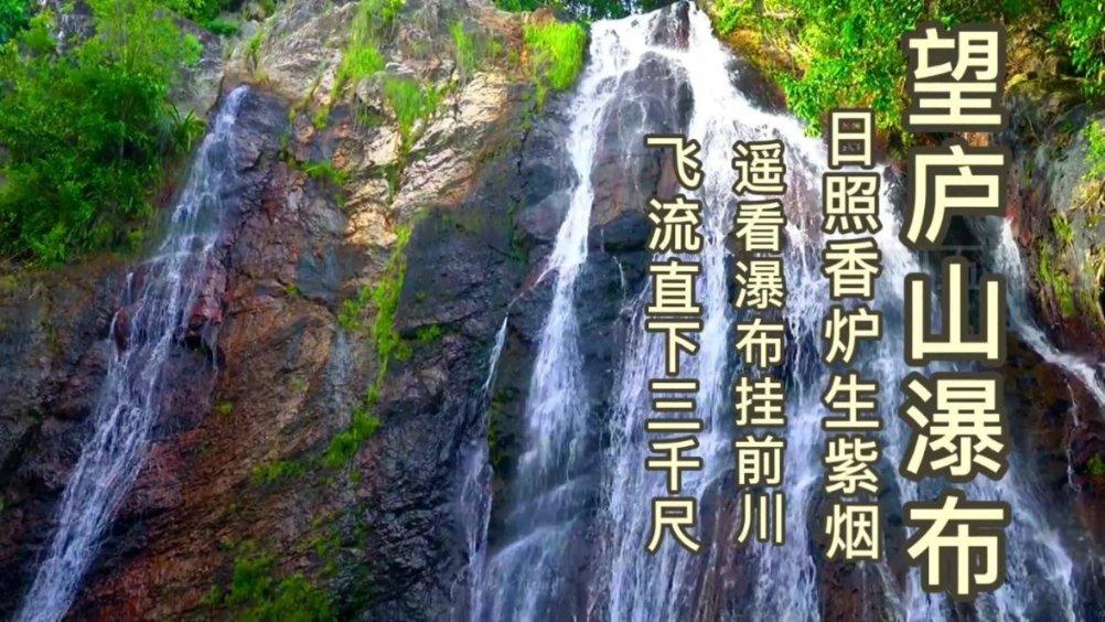 蓝狐视频