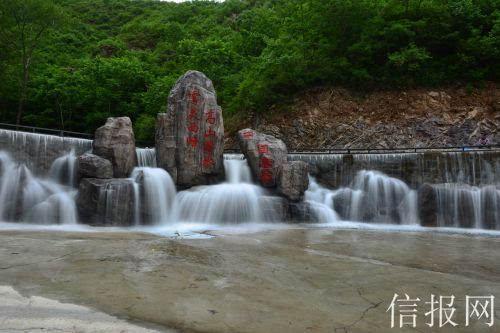 春雨直播app