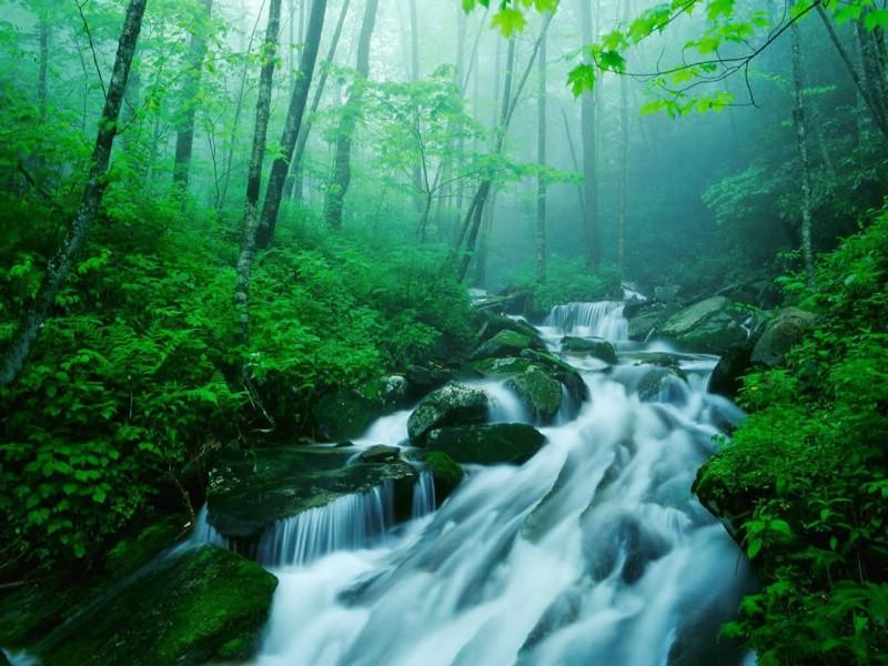 春雨直播app
