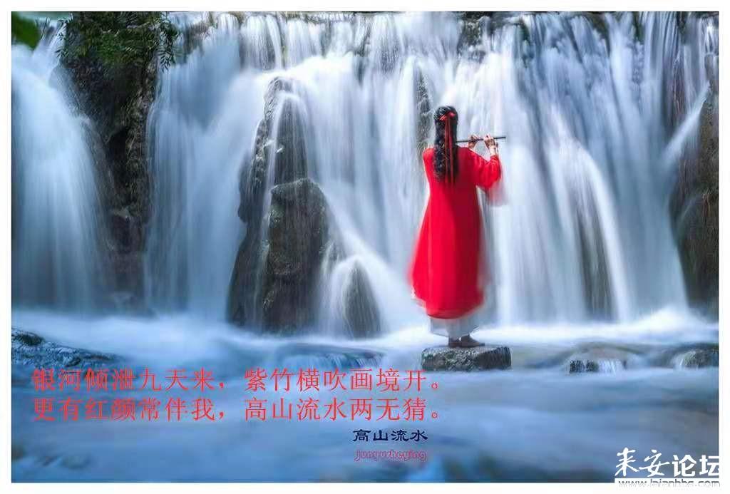 往日不再