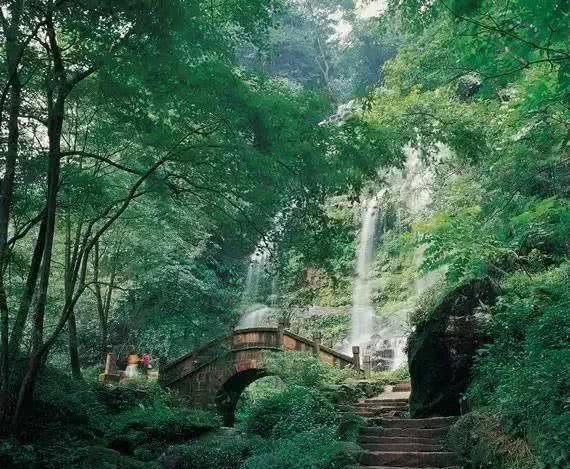 探探猫宝石岛3