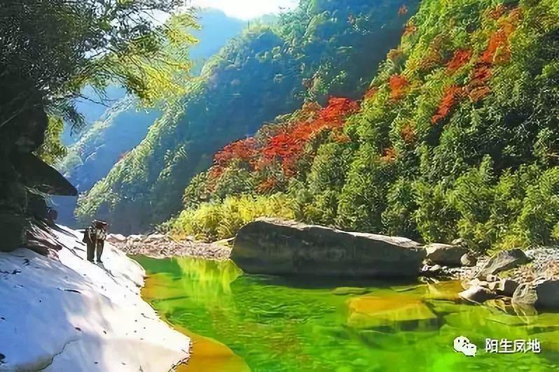 西安经开区：“心”级服务打造“星”级体验