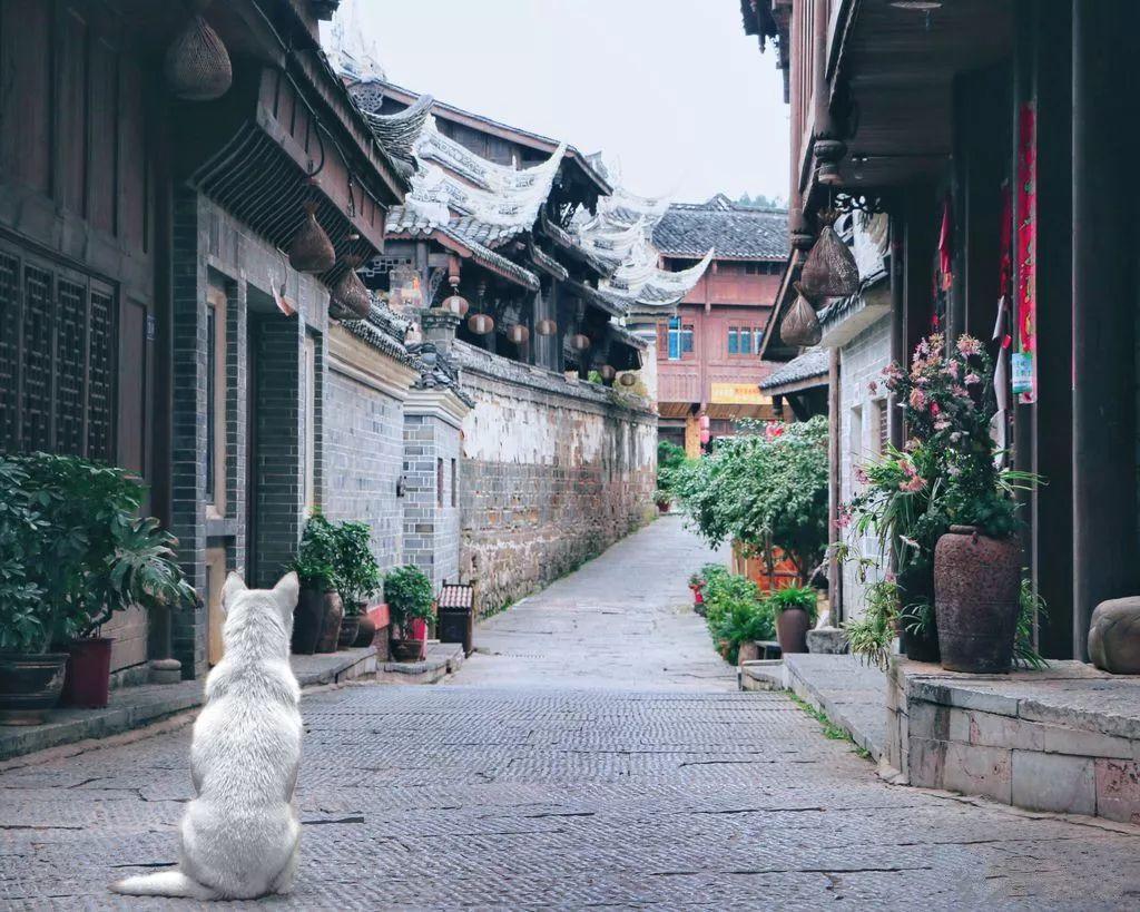 办公室恋情的危害有哪些？游戏画面