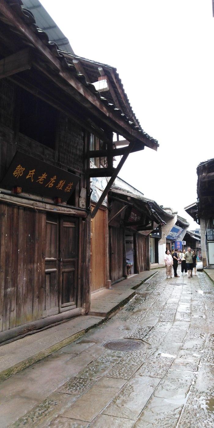 潮湿天气成群结队出现的小黑虫游戏画面