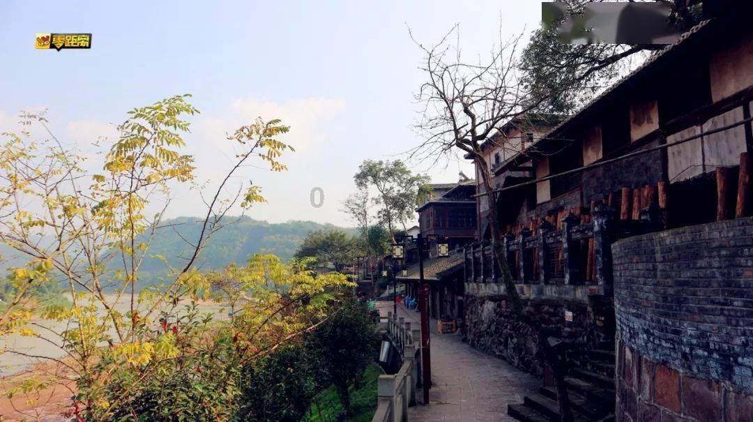 饥饿的松鼠救援