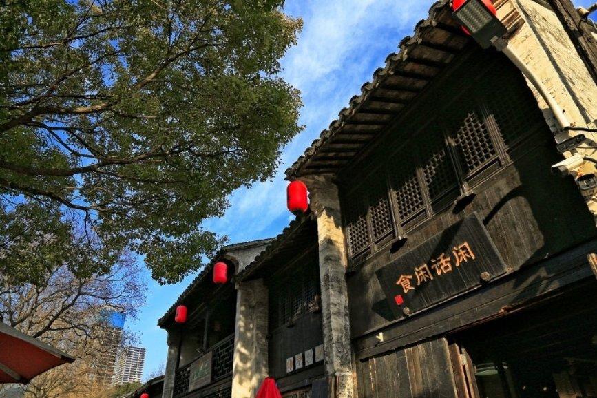 动物帮帮忙保卫家园